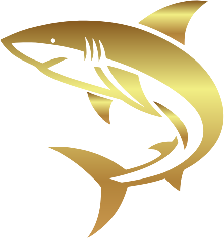 Shark Consultoria